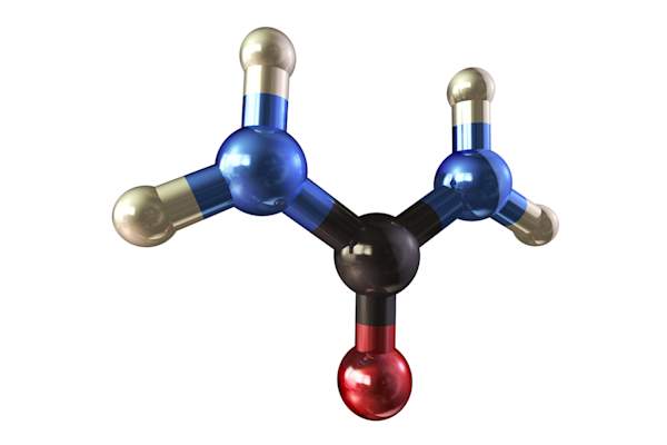 尿素分子