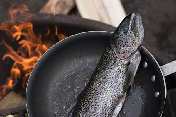 在锅内篝火虹鳟鱼