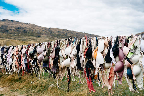 Hundreds of bras on an outdoor clothesline