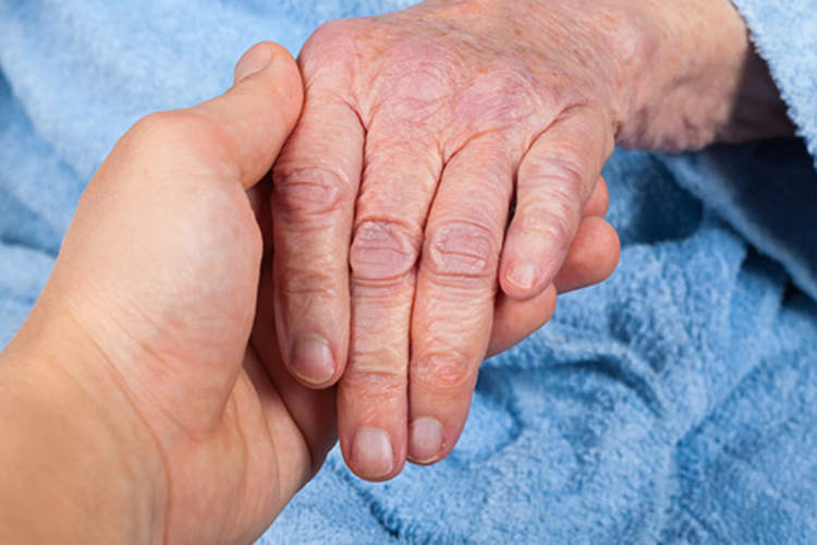 担任高级的左手。