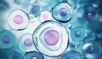 显微镜下的细胞。