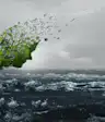 气候焦虑