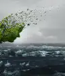 气候焦虑