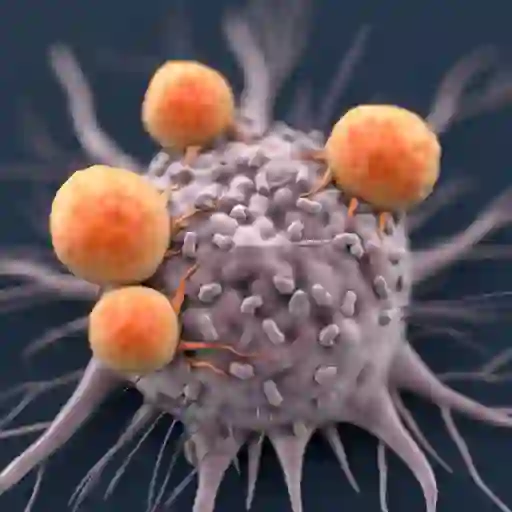 癌症细胞免疫细胞的攻击