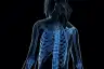 female skeletal system