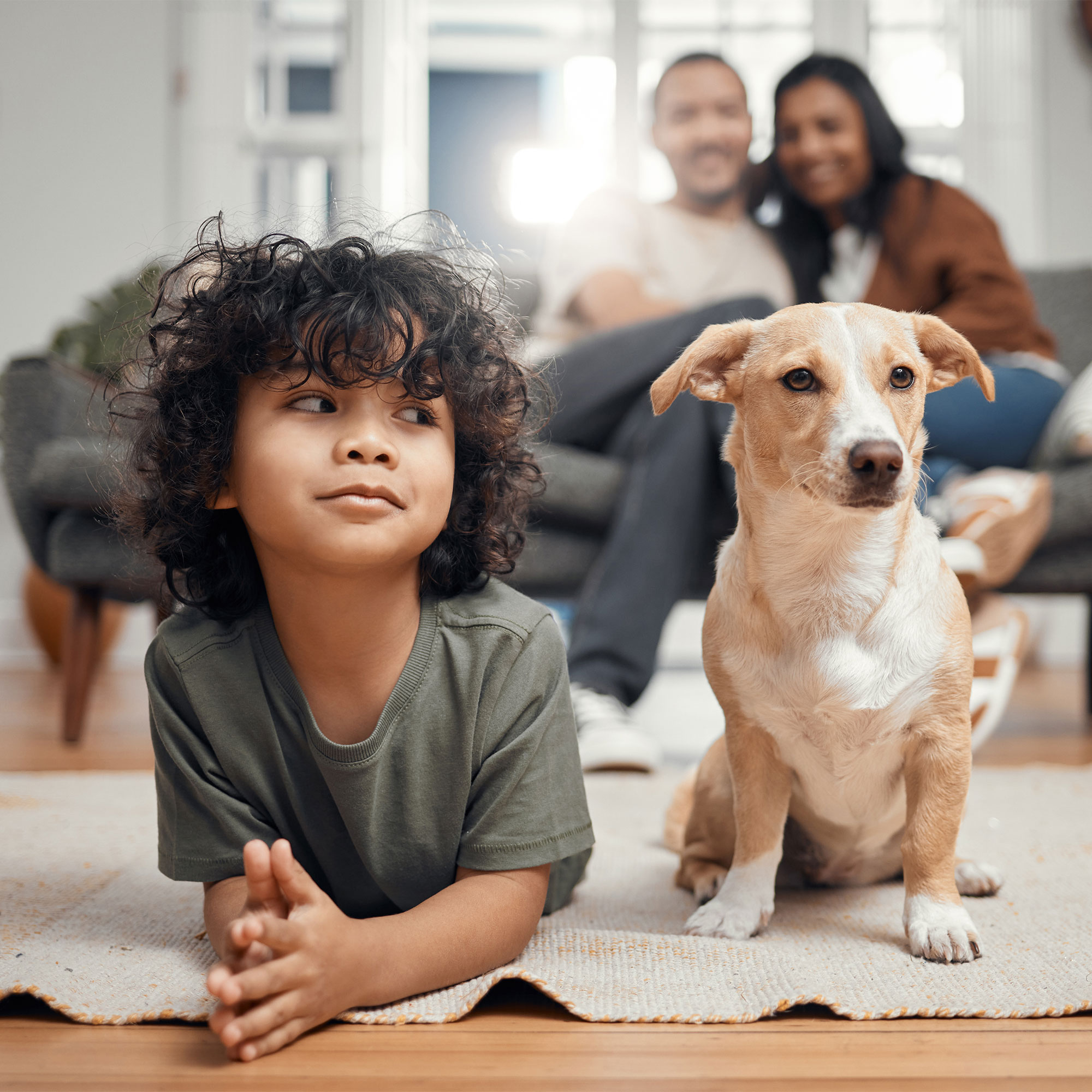 Little boy hot sale with dog