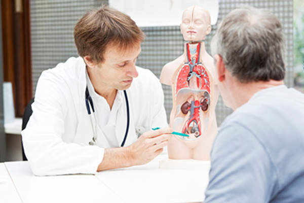 医生解释泌尿系统的问题。