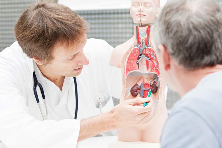 肾功能如何影响心脏