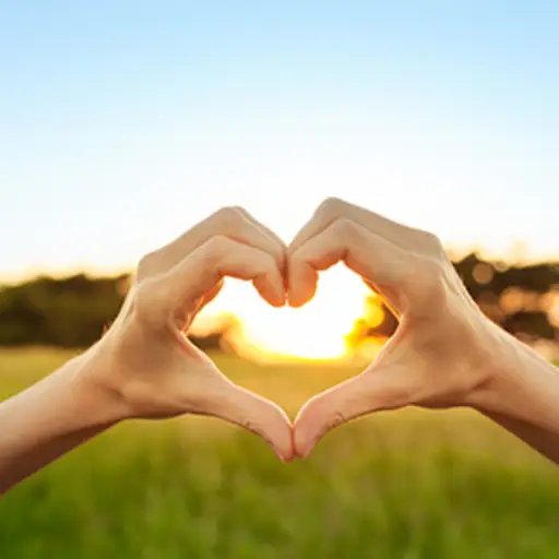 Hand shaped heart against sunset