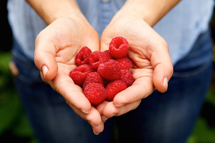 把rapsberries。