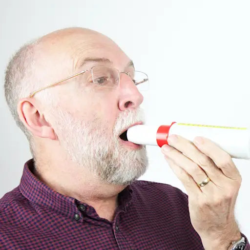peak flow meter