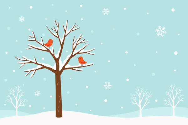 天气寒冷，多雪，树上有红鸟