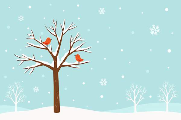 天气寒冷,多雪,树上有红鸟