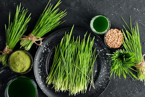 小麦草