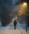 黑暗的冬季
