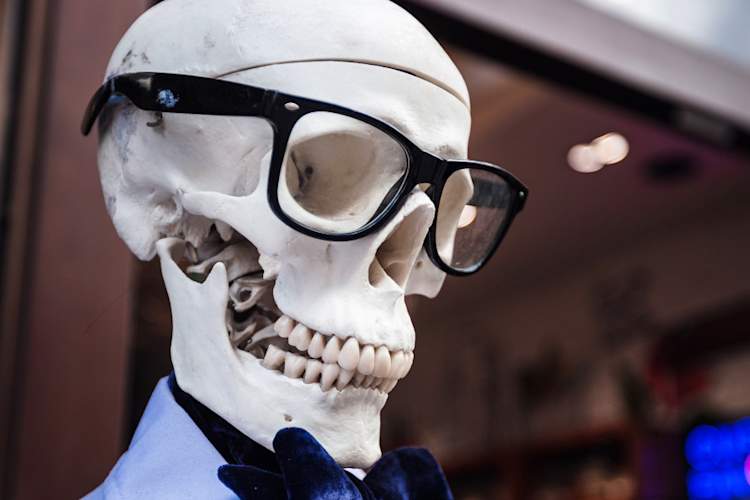 戴眼镜的人头骨