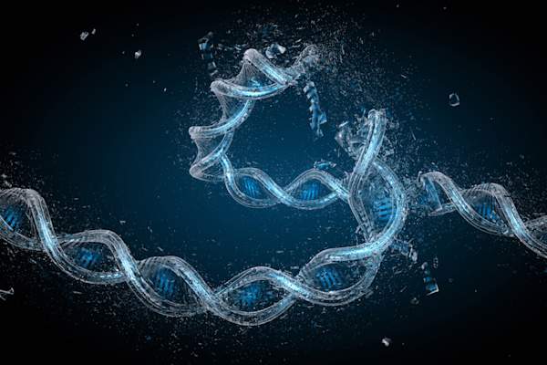 受损的DNA