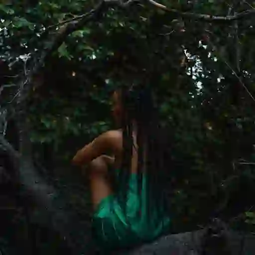 BlackwomenHealingRetreat.com