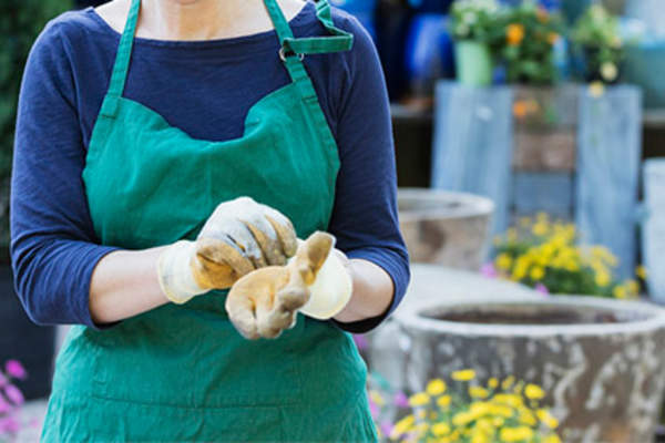 在温室里戴工作手套的女人。