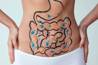 插图肠道上的胃-肠道细菌的概念