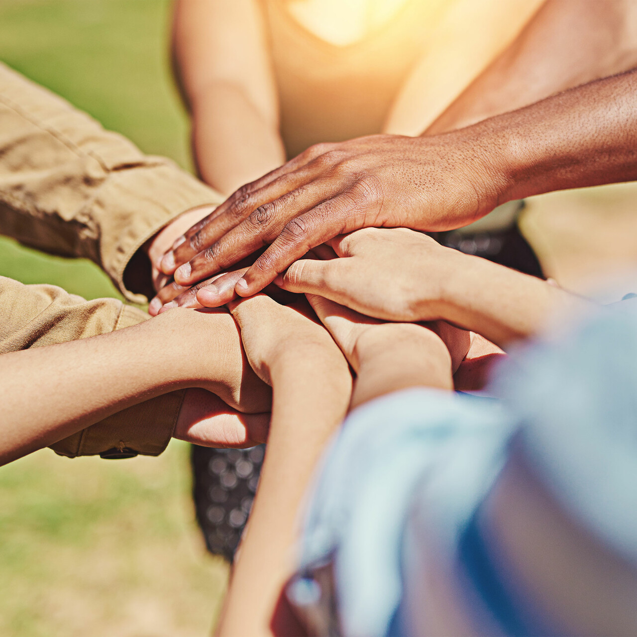 一群人将双手互相扎根