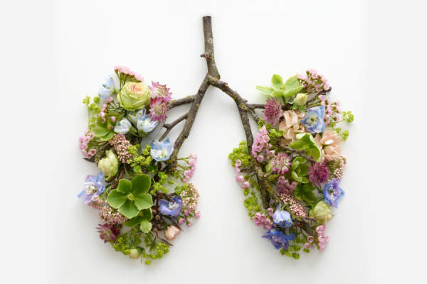树枝和鲜花在肺部的形状