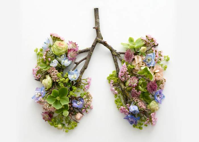 肺部的树枝和花朵