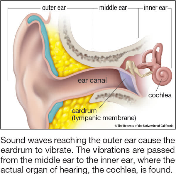 内耳听力损失的10个令人惊讶的原因