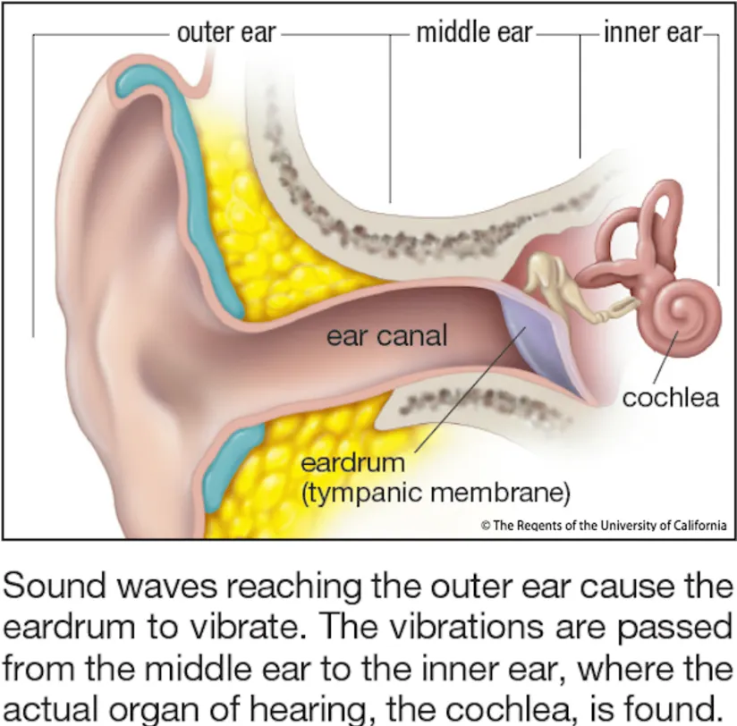 10个导致听力丧失的惊人原因耳塞