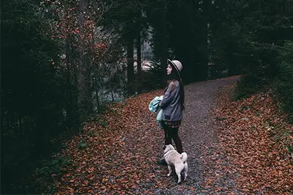 一个女人和她的狗在一条林间小路上散步。