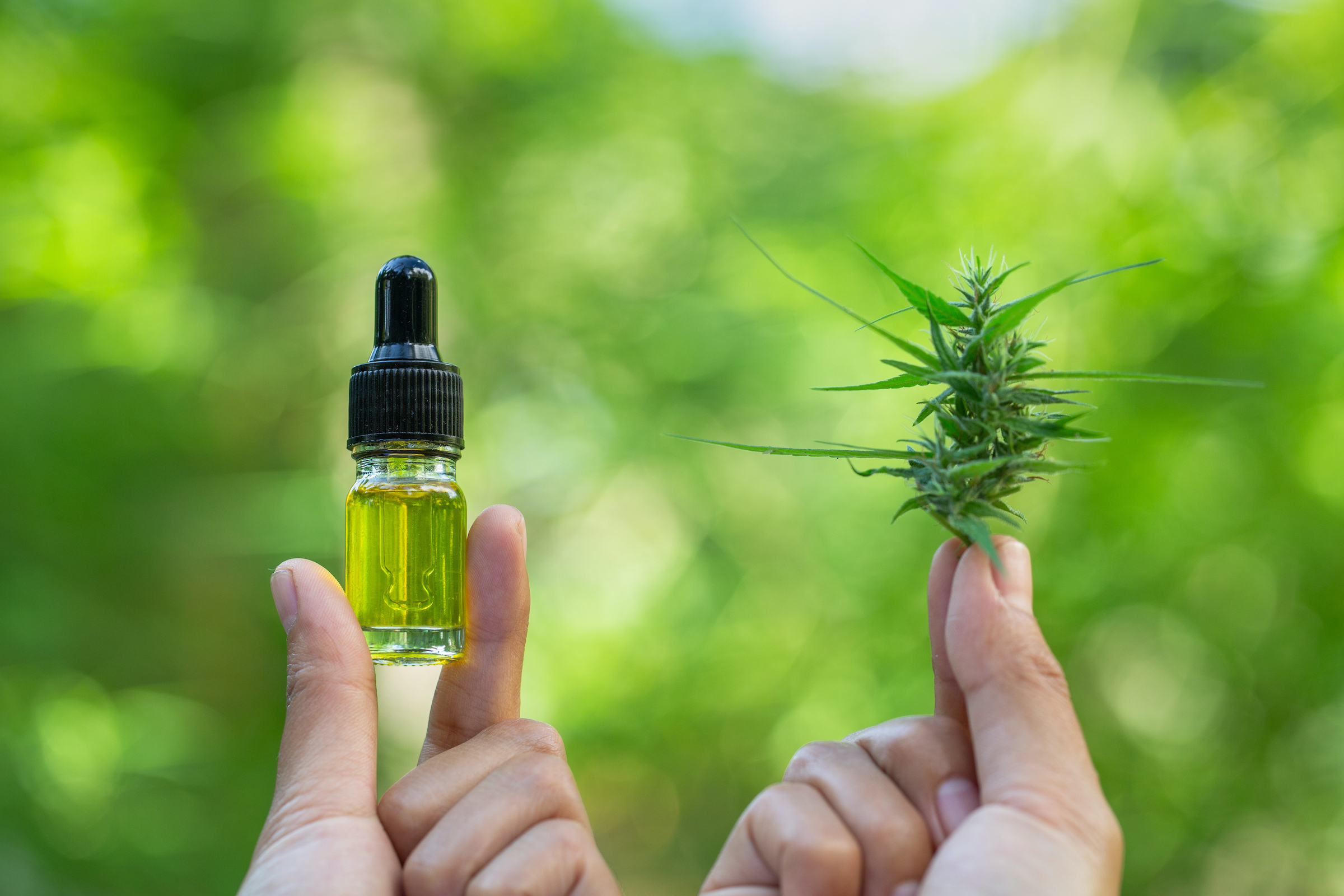 7 Things to Know Before You Buy and Try CBD Products