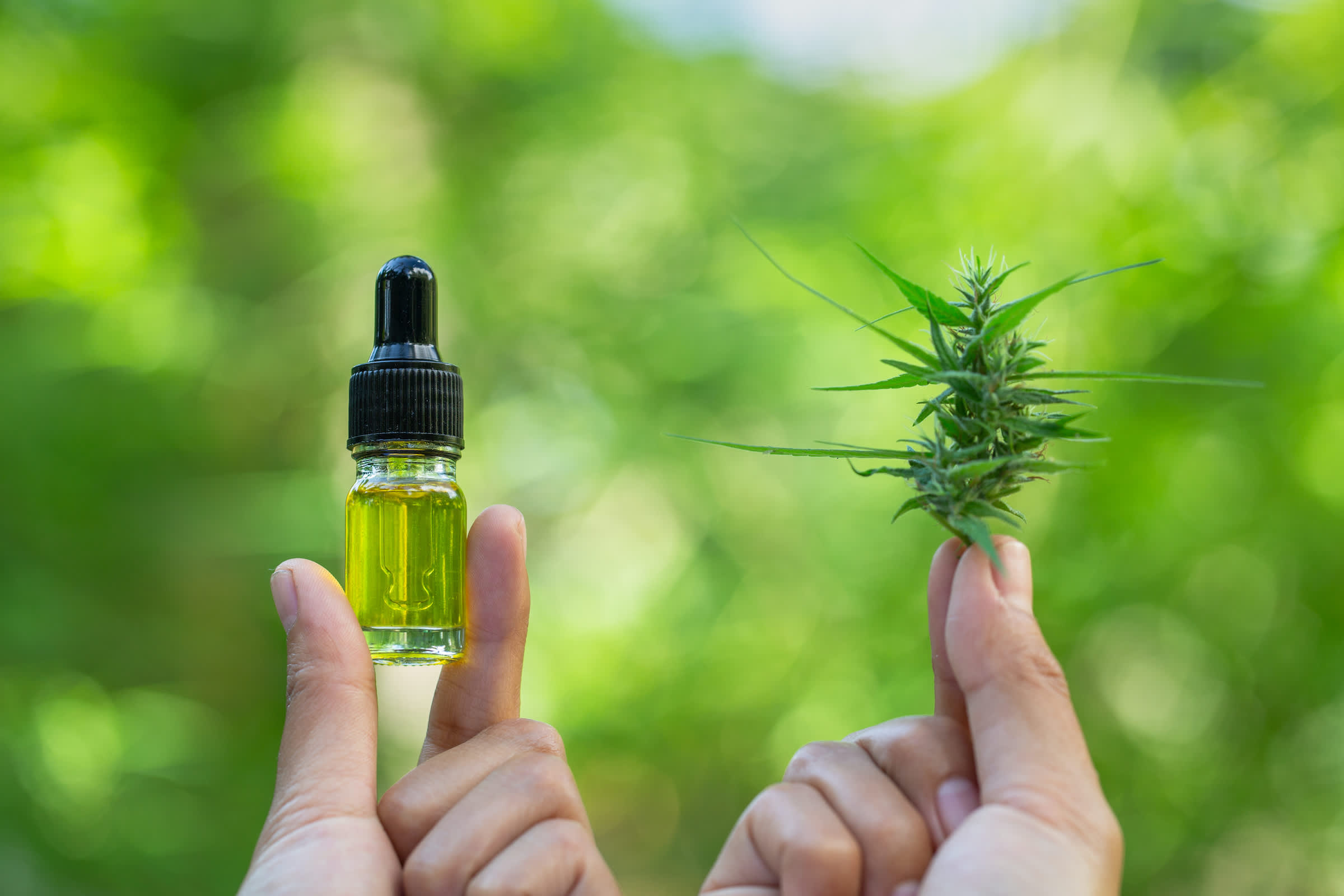 7 Things to Know Before You Buy and Try CBD Products - Vimarsana News