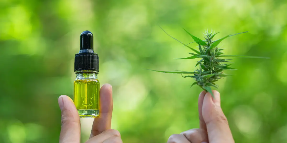 7 Things to Know Before You Buy and Try CBD Products