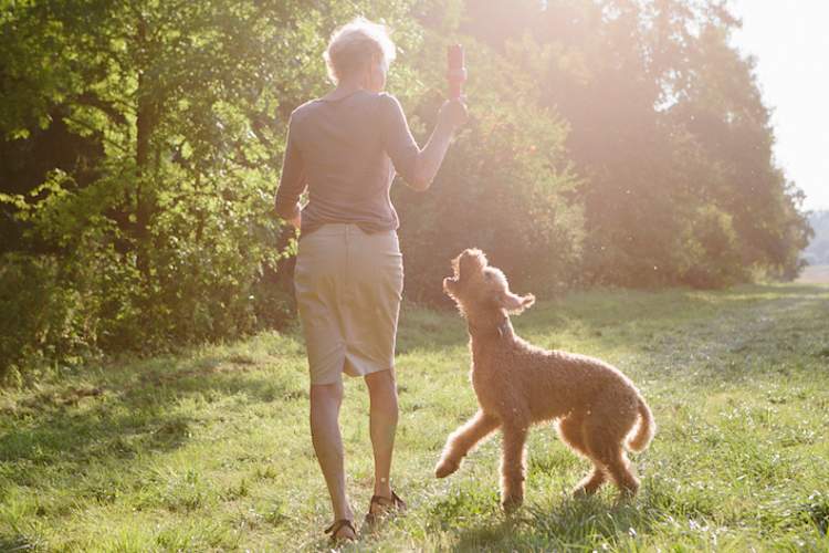 一个女人带着她的狗散步,为突发事件制定计划让她坚持下去。