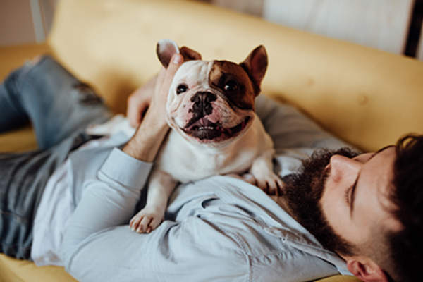 男子拥抱他的法国斗牛犬。