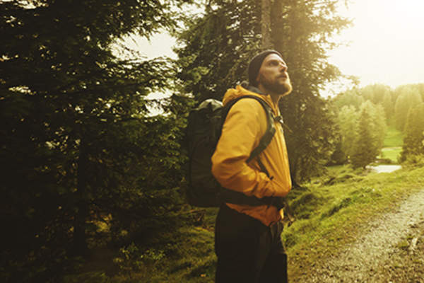 曼采取加息在树林中。