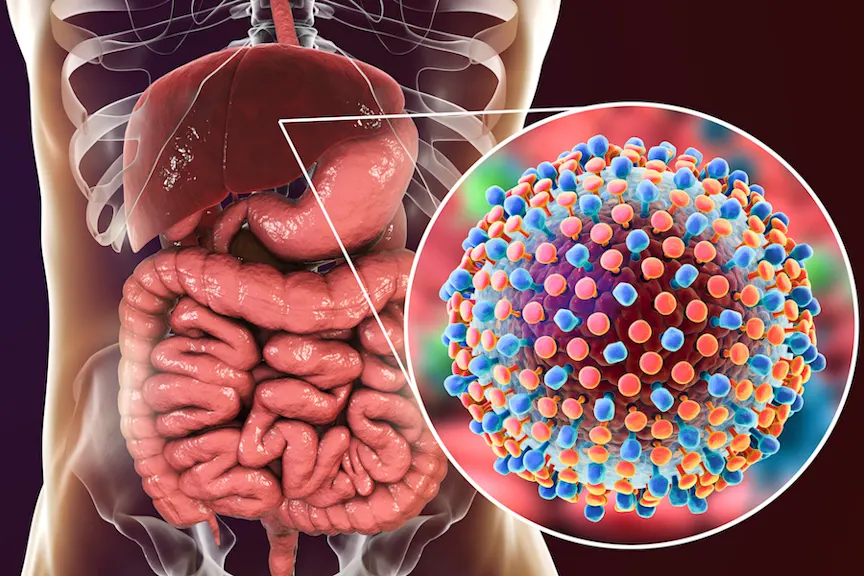 liver and hep C