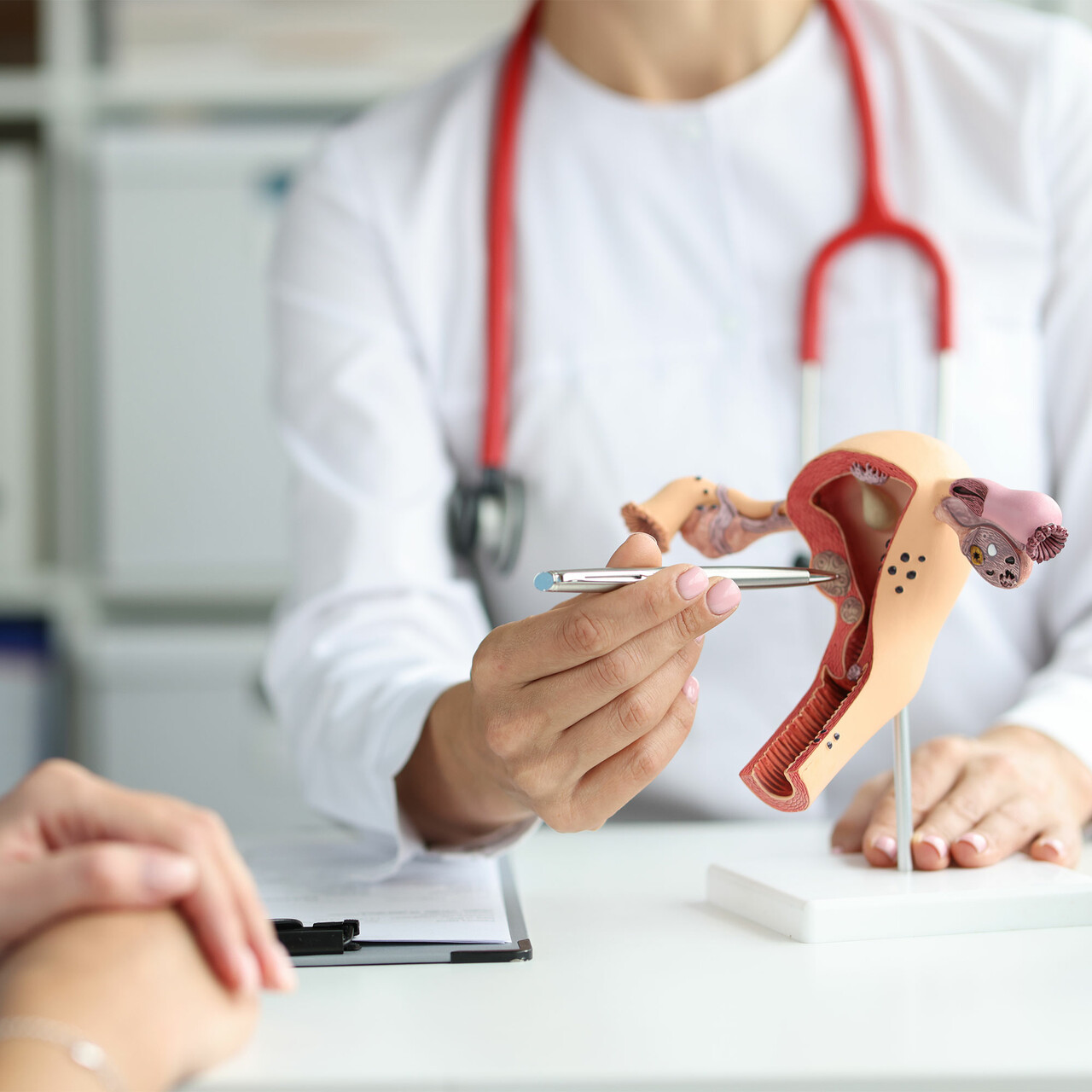 医生指向子宫的模型