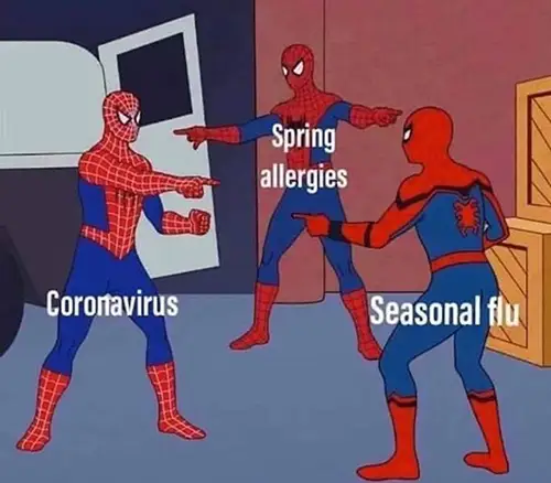 Meme的三个蜘蛛侠标记冠状病毒,春天过敏,和季节性流感都指向对方