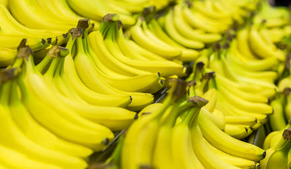 一排排的香蕉。