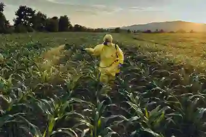 Man in a suit while spraying chemicals to avoid exposure.