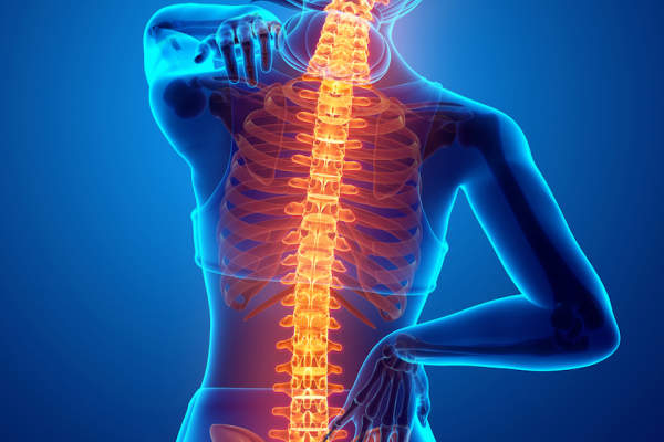 脊柱和背部疼痛的概念。