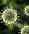 水痘带状疱疹