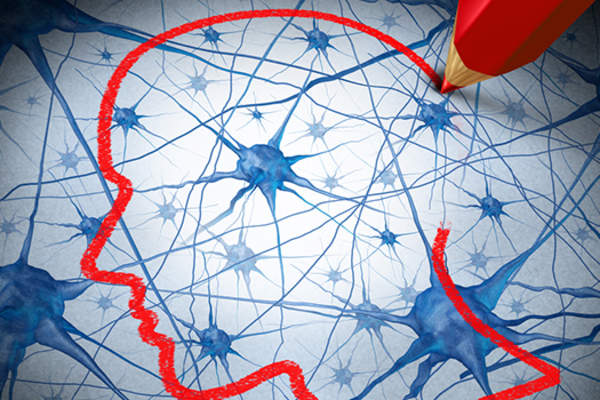 大脑和神经图纸。