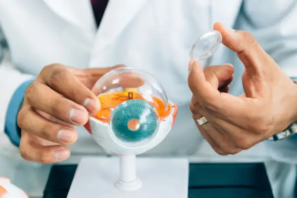 医生抱着眼睛的模型