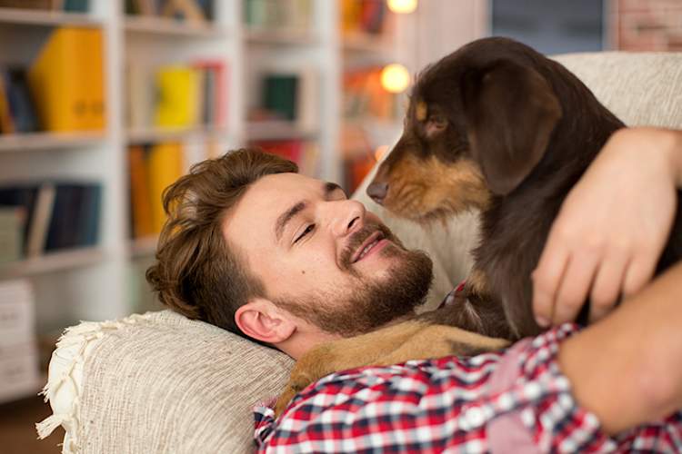 一个男人带着他的狗在家里的沙发上。