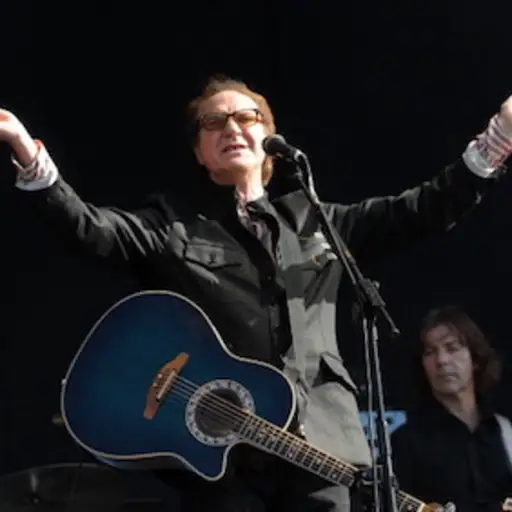 Ray Davies在海德公园的“硬摇滚呼唤”音乐节的第二天现场表演。