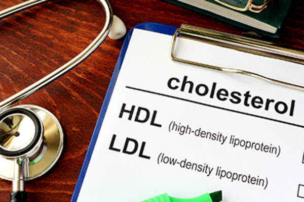 高密度脂蛋白和低密度脂蛋白胆固醇。