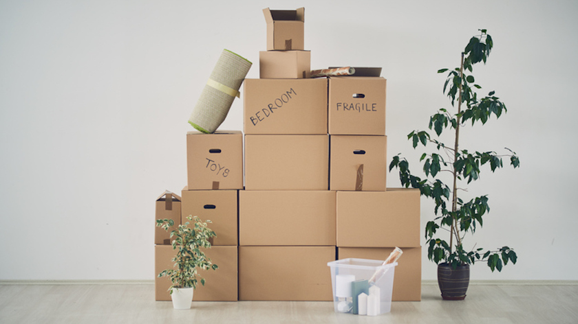 Коробки в квартире фото Crohn's Disease: Tips for Moving to a New City