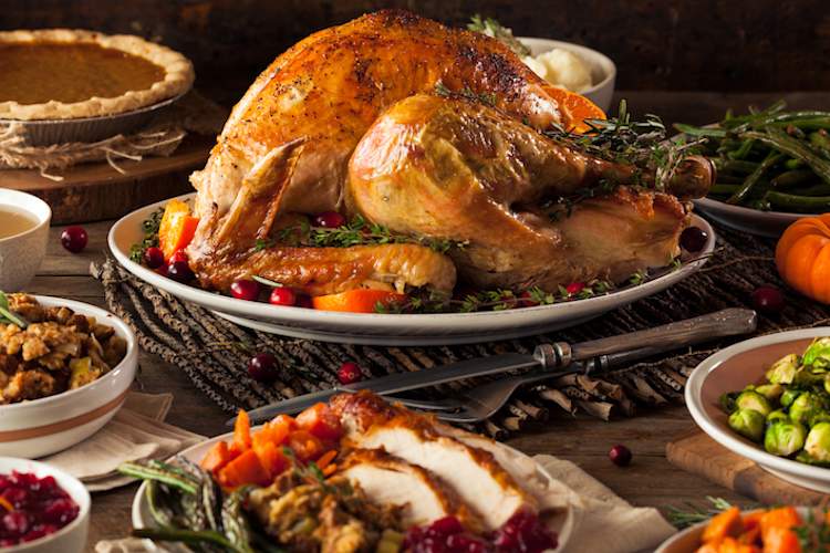 美丽的节日火鸡